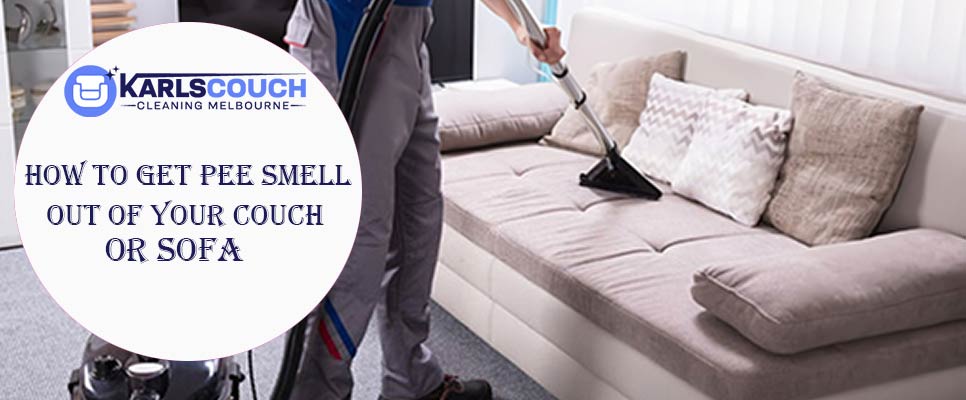 How To Get Pee Smell Out Of Your Couch Or Sofa