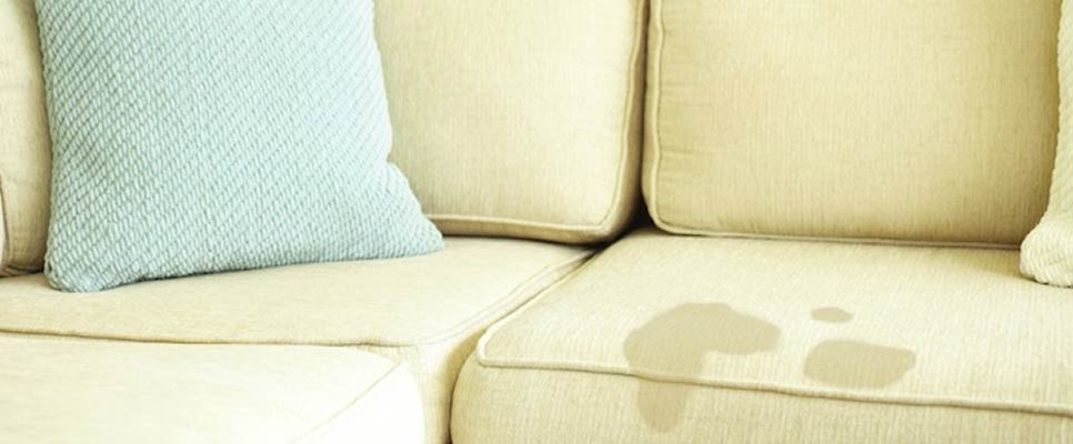 How To Get Rid Of Pet Urine Stains On The Couch